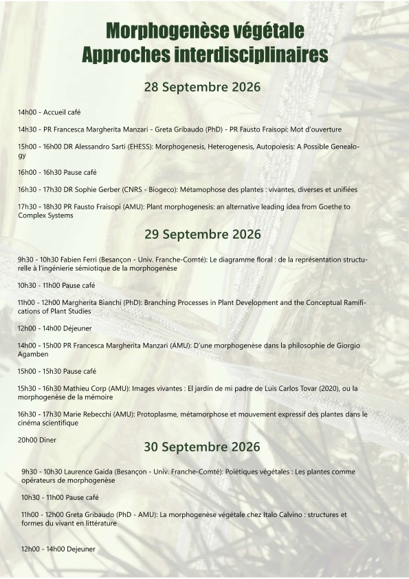 Morphogenèse programme
