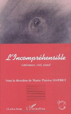 Couverture Incompréhensible