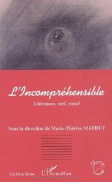 Couverture Incompréhensible